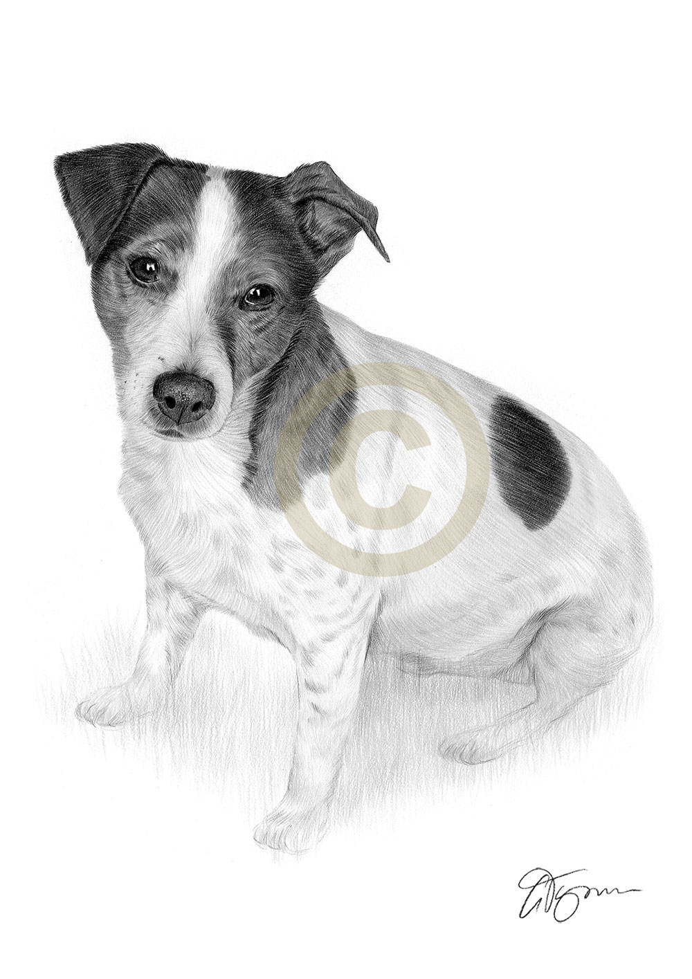 Pet portrait of a jack russell Pet portrait commission of a jack russell by artist Gary Tymon