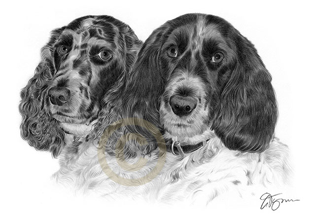 Pet portrait commission of Milo and Bracken